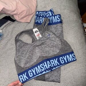 Gymshark Gray and Blue Activewear Set